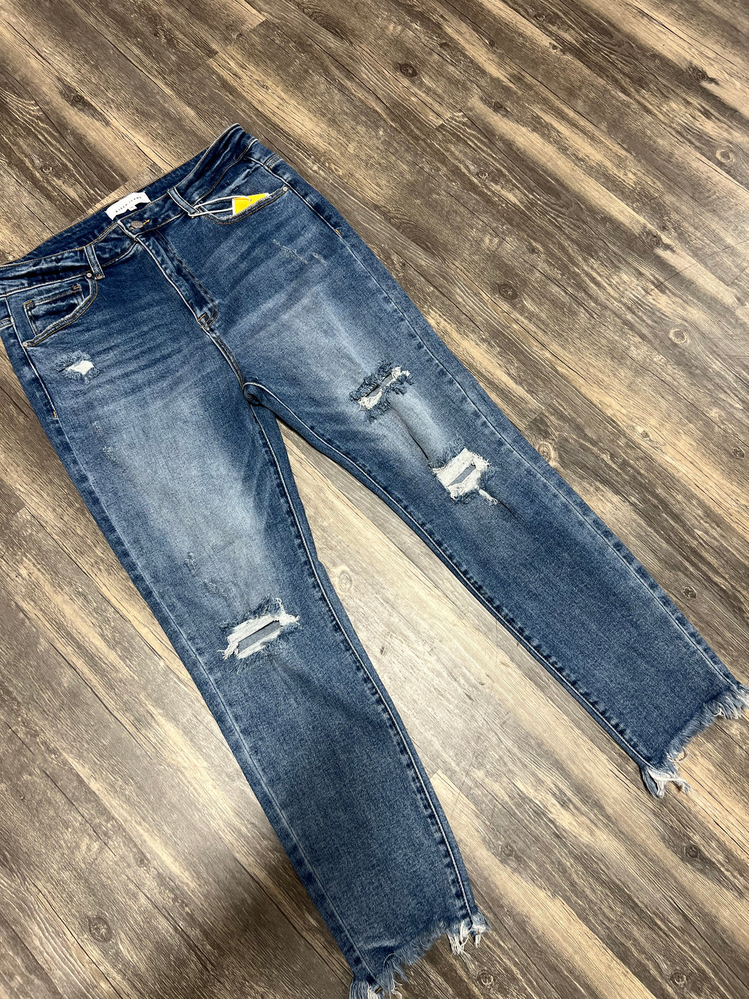 Lindsey Plus High Rise Skinny Jeans